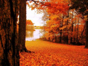 MichiganFall, mindre, c